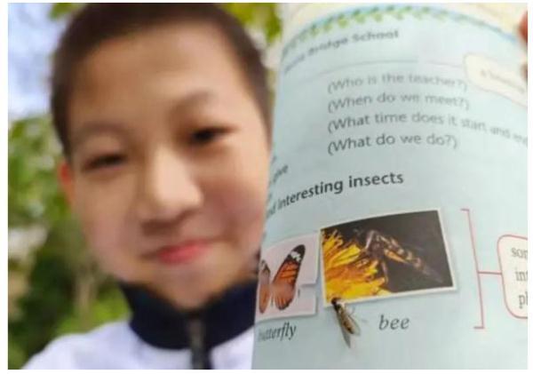 后生可畏！又有學(xué)生發(fā)現(xiàn)教科書錯誤，這次是上海10后！