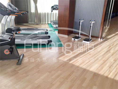 <a href=http://m.yingdedao.com target=_blank class=infotextkey>健身</a>房木地板-10fd